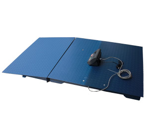 耀華電子稱XK3190-AW1